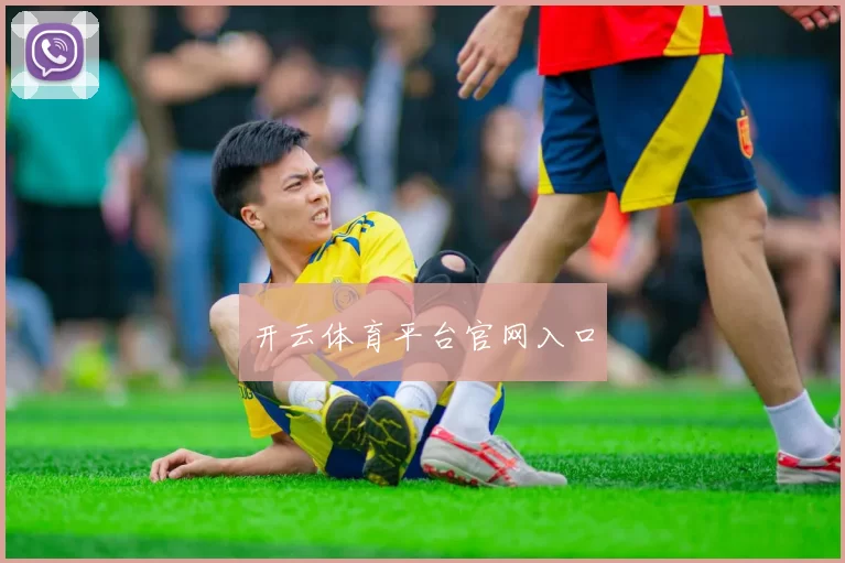开云体育平台官网入口