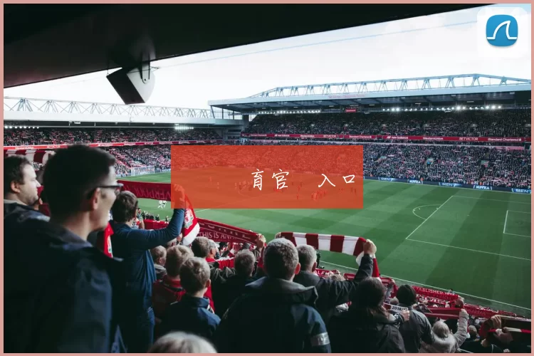 開雲體育官網入口