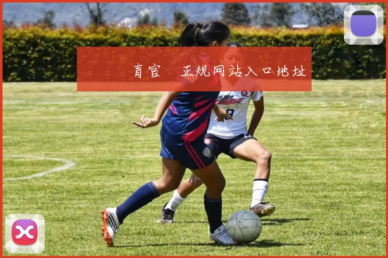 開雲體育官網正规网站入口地址