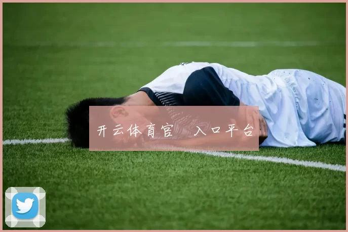 开云体育官網入口平台