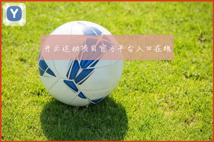 开云运动项目官方平台入口在线