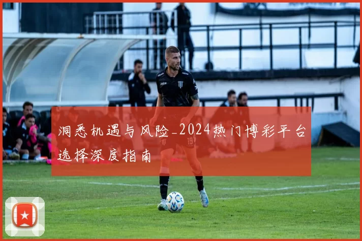 洞悉机遇与风险_2024热门博彩平台选择深度指南