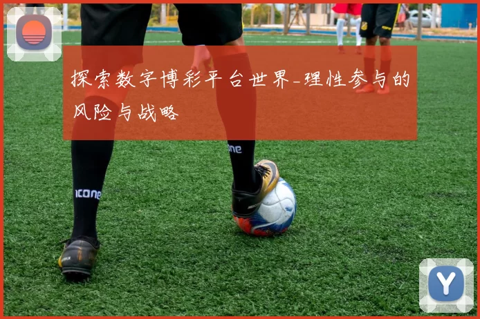 探索数字博彩平台世界_理性参与的风险与战略