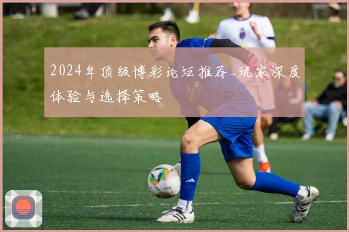 2024年顶级博彩论坛推荐_玩家深度体验与选择策略