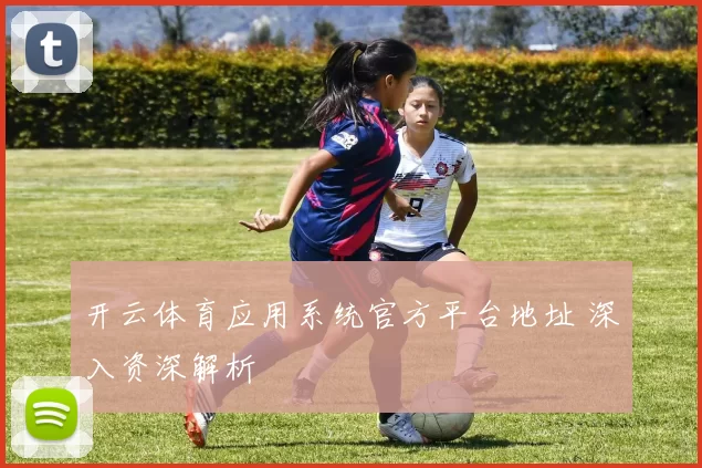 开云体育应用系统官方平台地址 深入资深解析