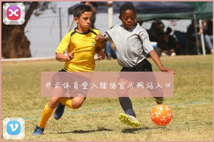 开云体育登入赌场官方网站入口