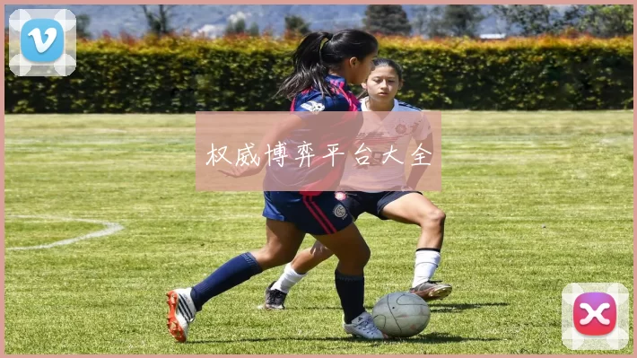 权威博弈平台大全