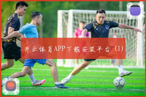 开云体育APP下载安装平台 (1)