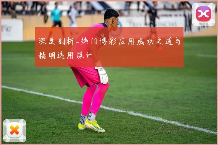 深度剖析_热门博彩应用成功之道与精明选用谋计