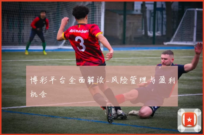 博彩平台全面解读_风险管理与盈利机会