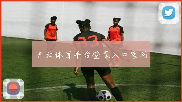开云体育平台登录入口官网