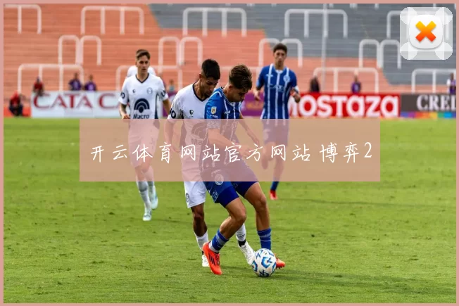 开云体育网站官方网站 博弈2