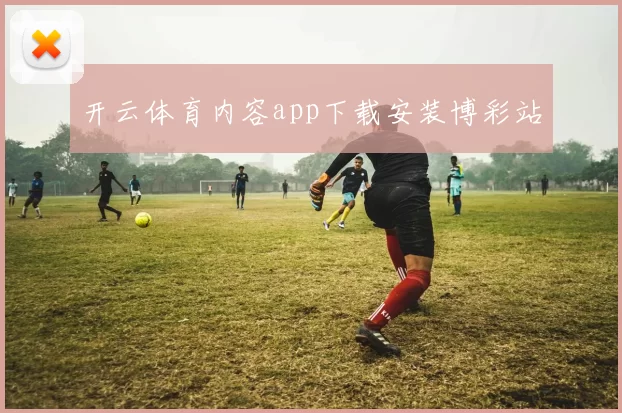开云体育内容app下载安装博彩站