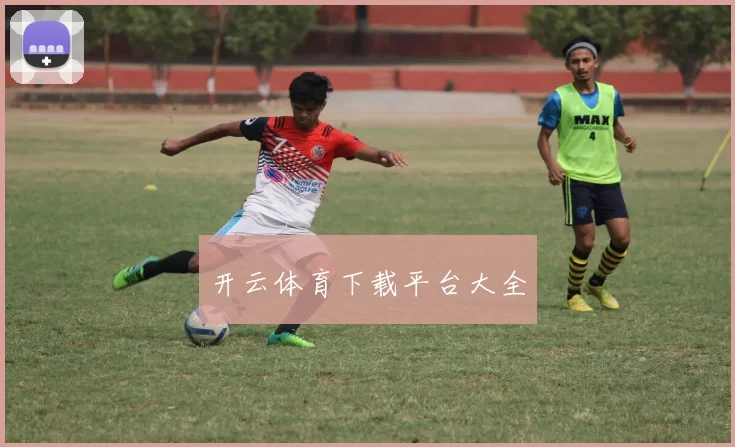 开云体育下载平台大全