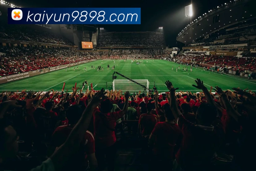 kaiyun平台生态图